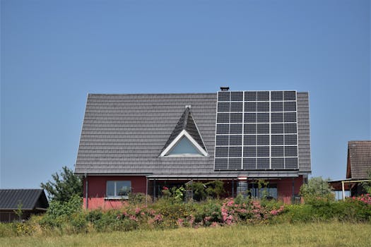 solar panels on a tiny home roof