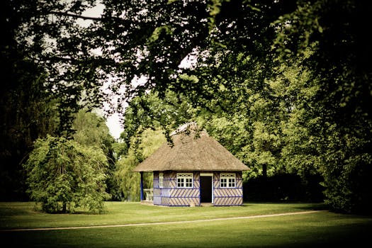 tiny home in a lush forest