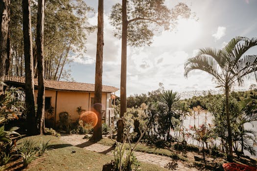 tiny home with beautiful landscape