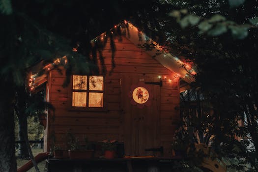 cozy tiny house in a forest