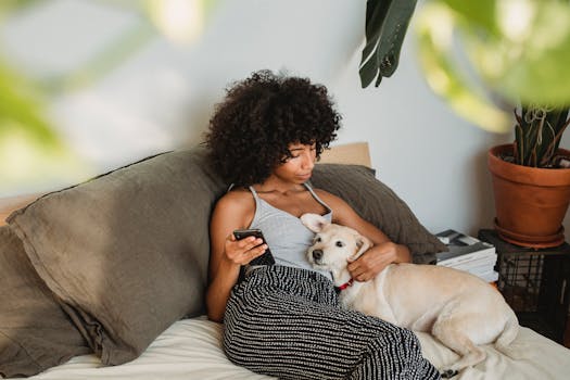 cozy tiny house interior with pet beds